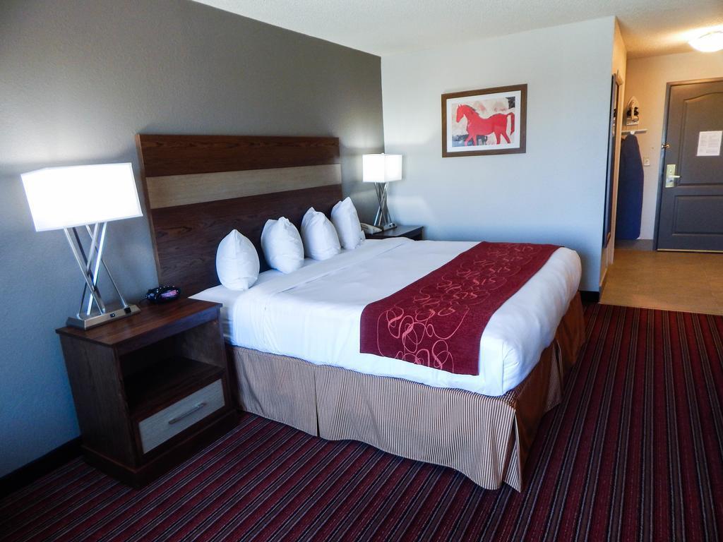 Country Inn & Suites By Radisson, Dfw Airport South, Tx Irving Exteriör bild